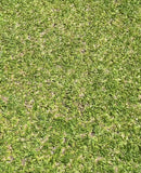 Nike Phantom GT2 + Brinde (PRONTA ENTREGA)